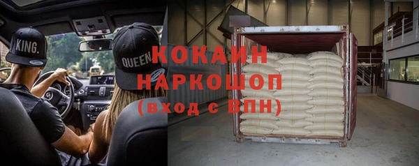 mix Богородицк