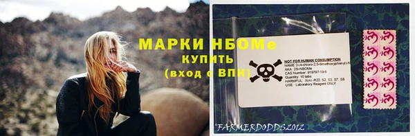 mix Богородицк