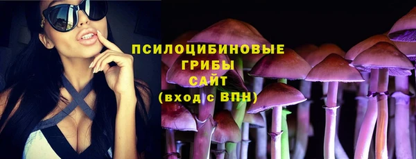 СК Богородск