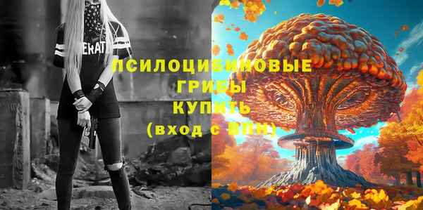 прущий лед Богданович