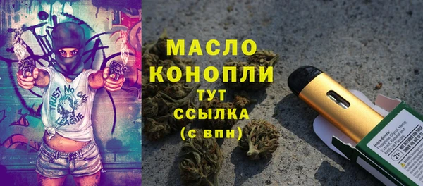 прущий лед Богданович