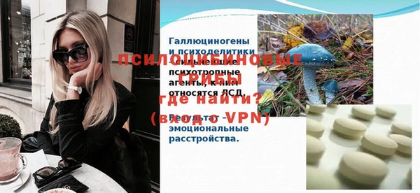 СК Богородск
