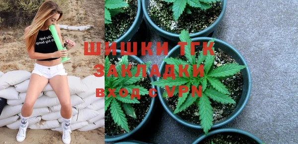 mix Богородицк