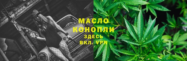 СК Богородск