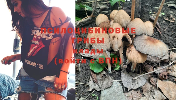прущий лед Богданович