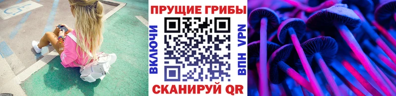 Псилоцибиновые грибы Magic Shrooms  Торжок 